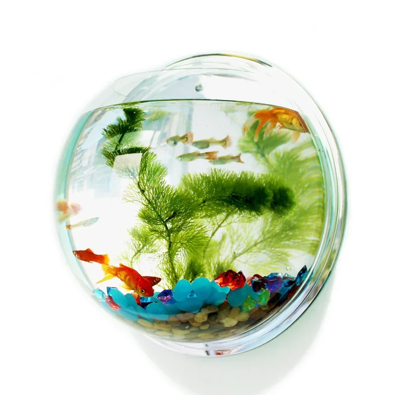 Betta Fish Tank - Akrylowe akwarium w kształcie miski, do