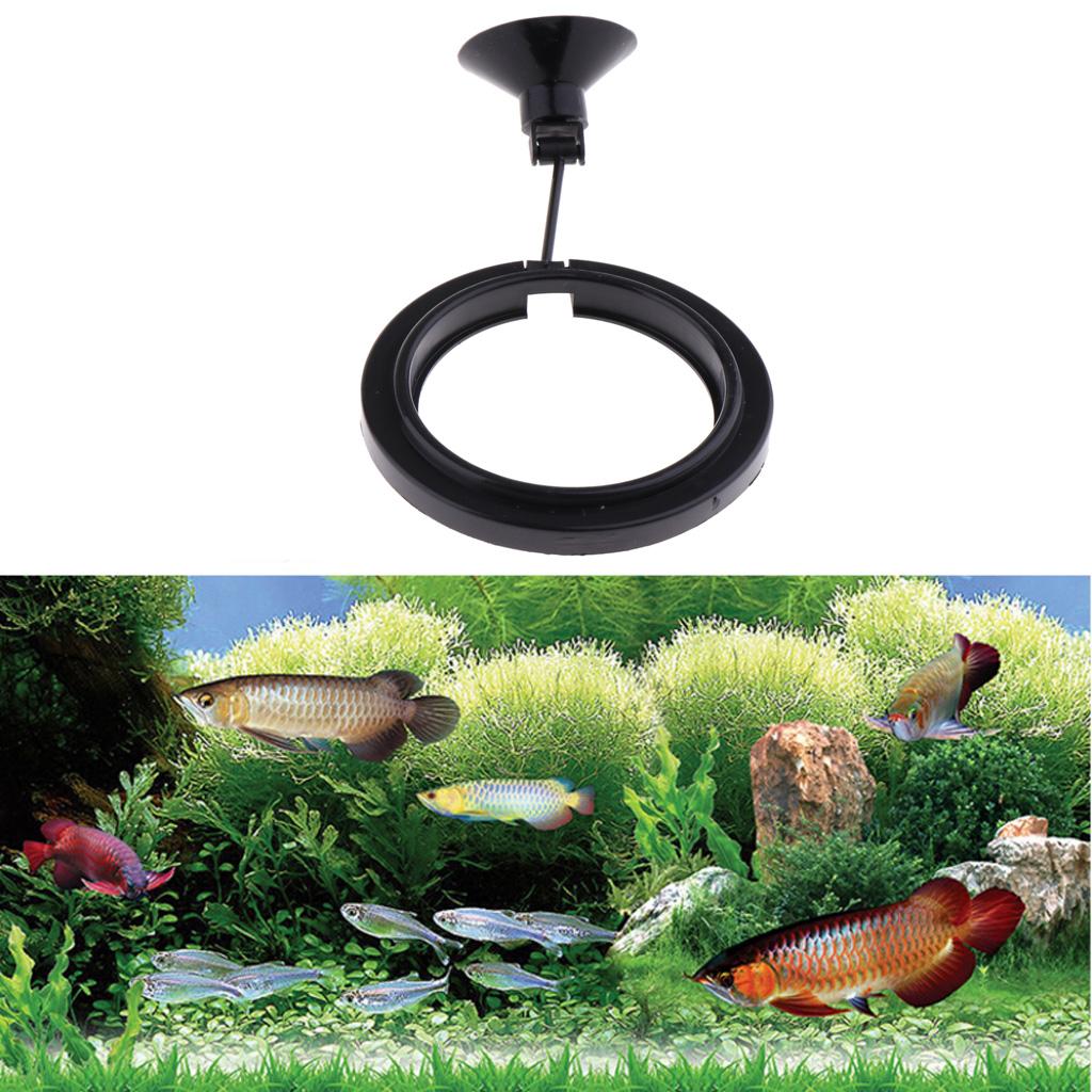 Aquarium Fish Keeping - Pływająca podajka do karmienia ryb, kwadratowa,