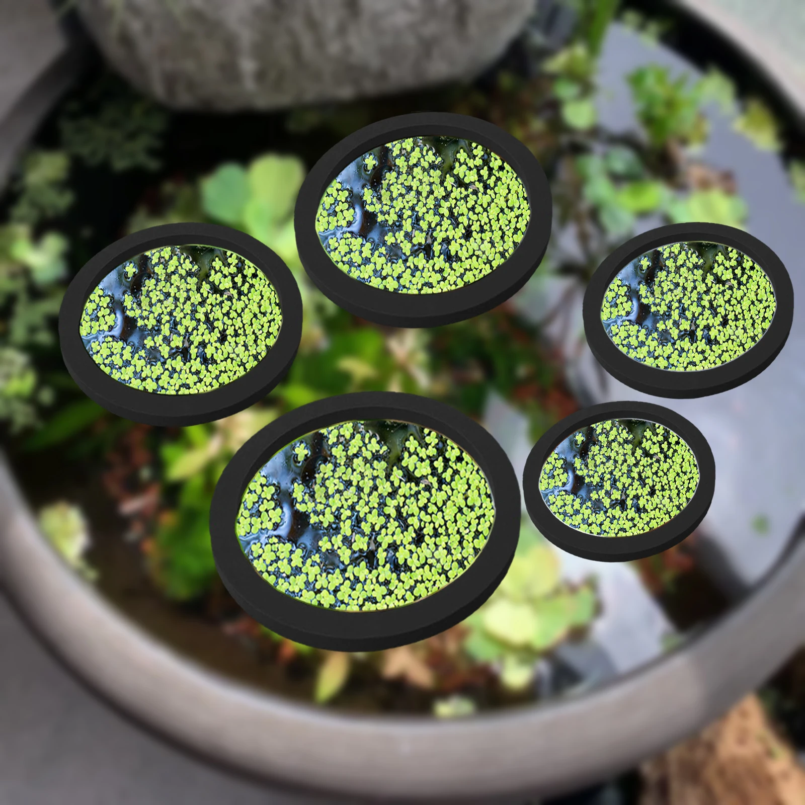 Aquarium Fish Tank - 5Pcs EVA Pierścień do karmienia ryb
