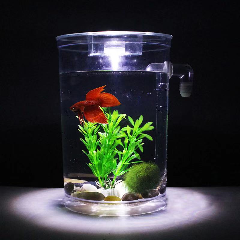 Leniwy bezpłatny zbiornik na r – Betta Fish Tank recenzja i cena