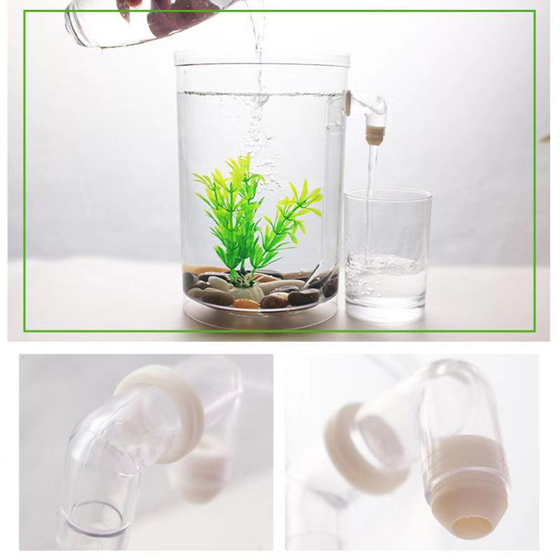 Leniwy bezpłatny zbiornik na r – Betta Fish Tank recenzja i cena