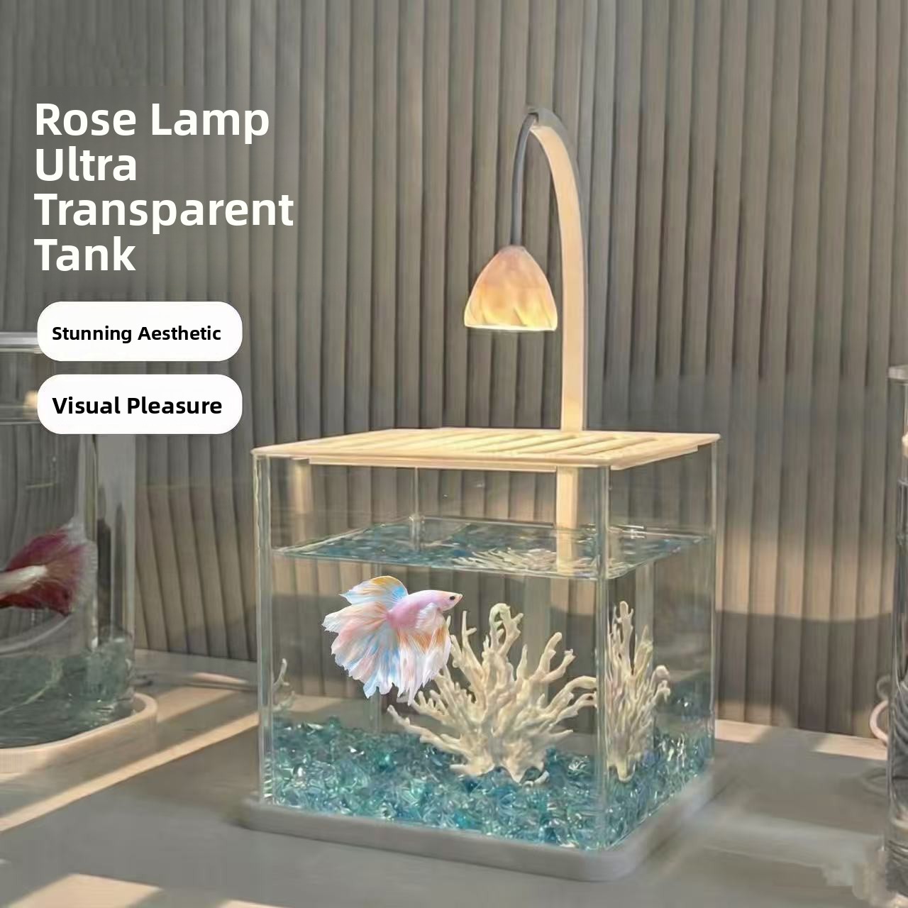 Akrylowe akwarium w kształcie  – Betta Fish Tank recenzja i cena