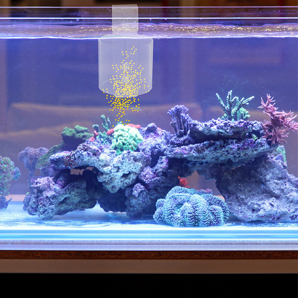 Regulowany, akrylowy pierścień – Aquarium Fish Keeping recenzja i cena