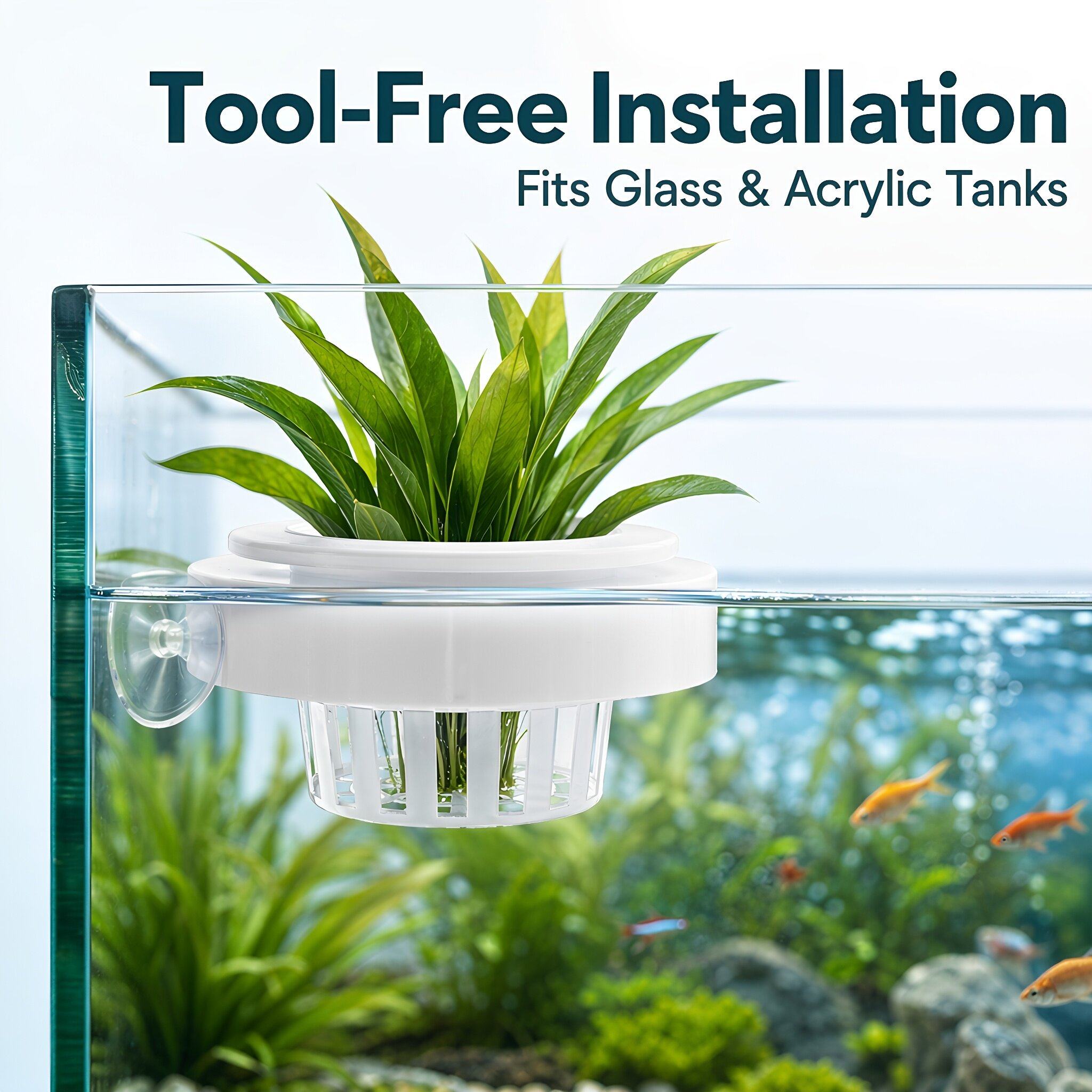 4 sztuki – pływające koszyki d – Aquarium Plants recenzja i cena
