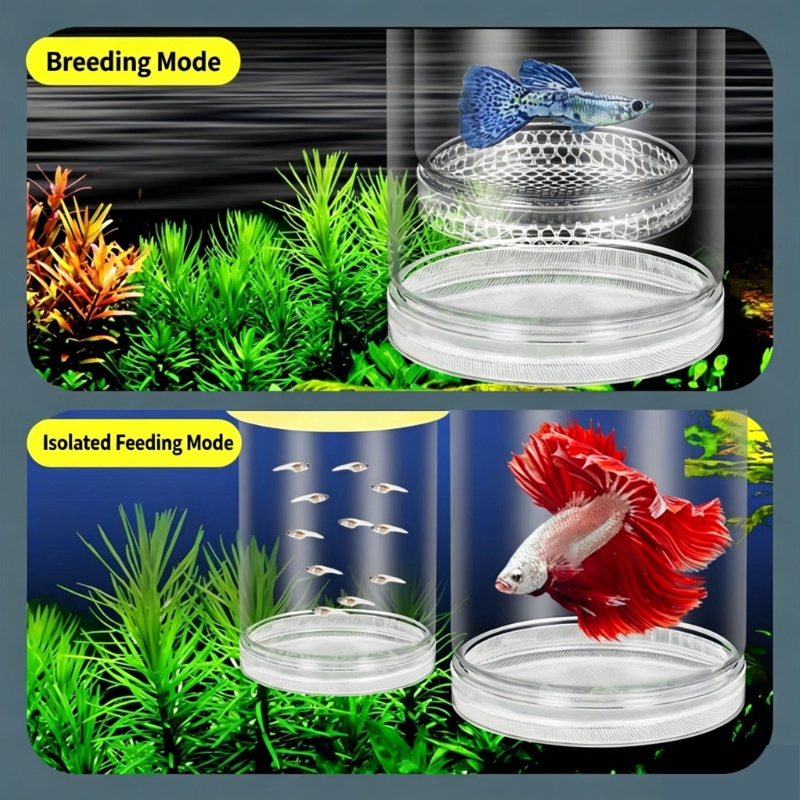 Przezroczysta pływająca skrzyn – Aquarium Fish Betta recenzja i cena