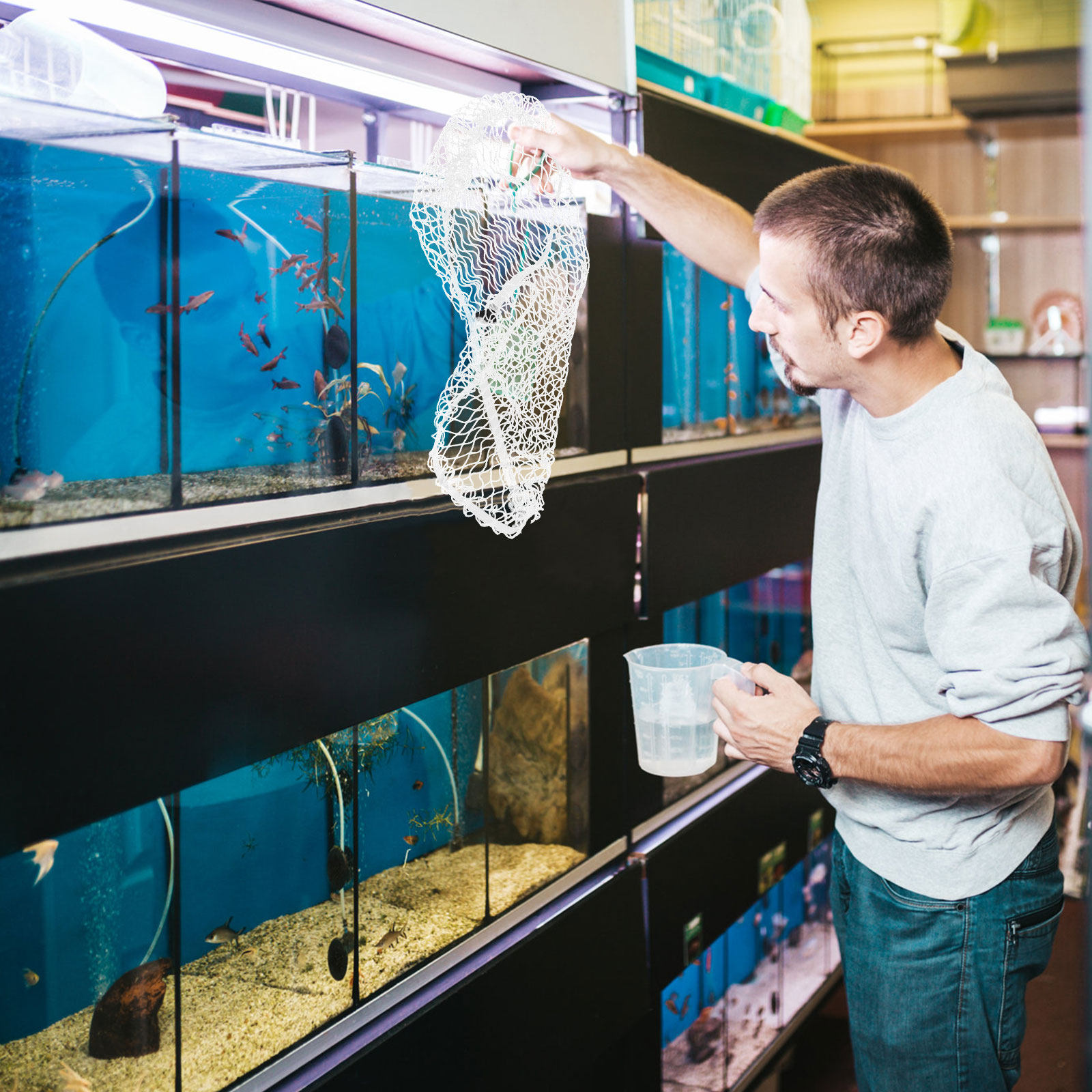 Siatka ochronna do akwarium, w – Aquarium Fish Keeping recenzja i cena